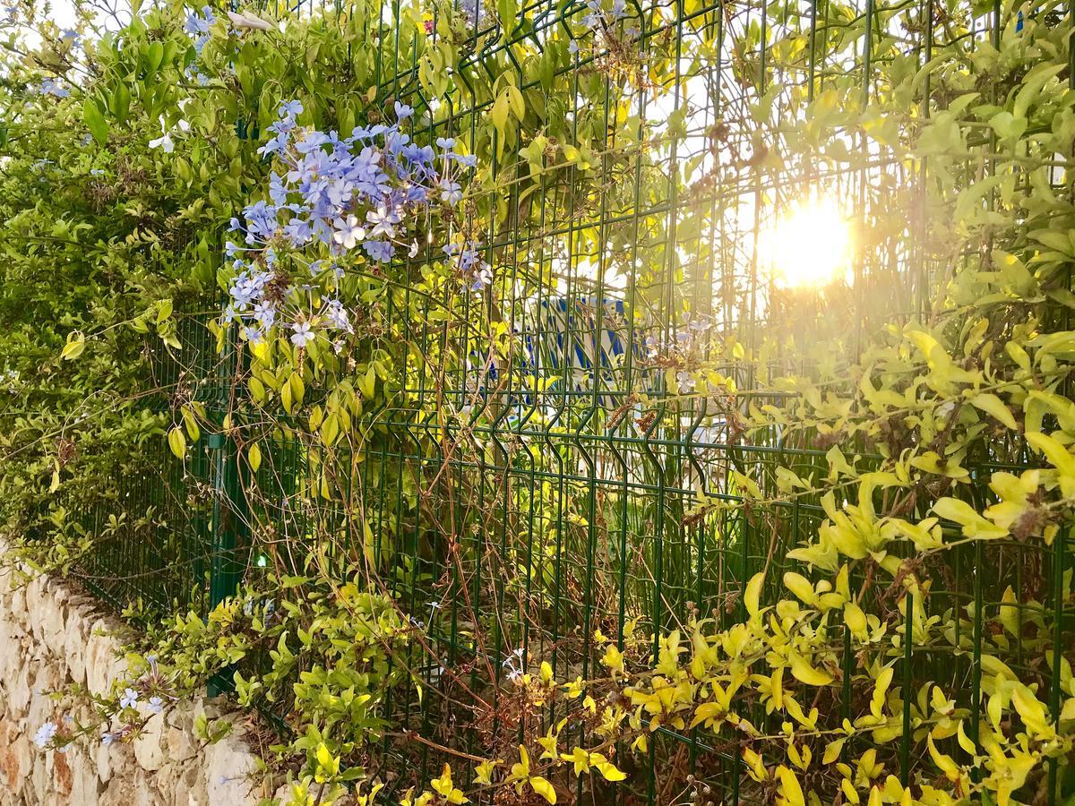 Marina Garden By Ethnic Ocean Daire Vilamoura Dış mekan fotoğraf